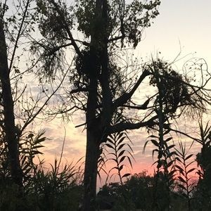 Meet your Posher, Celine